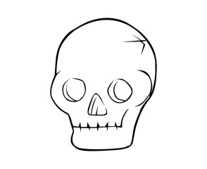 skull lineart