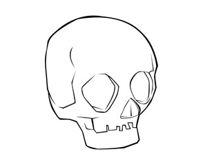 skull lineart