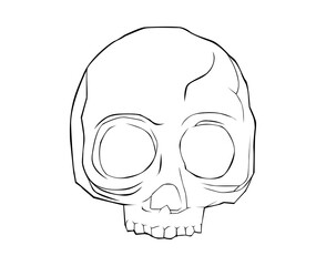 skull lineart