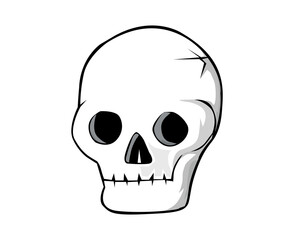 Fototapeta premium skull