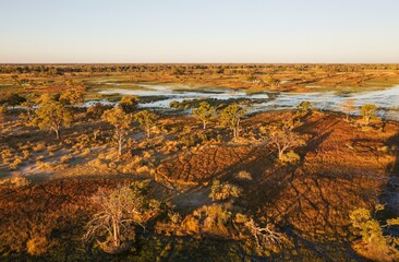 Freshwater marshes with streams, channels and islands, in the late evening, aerial view, Okavango Delta, Moremi Game Reserve, Botswana, Africa