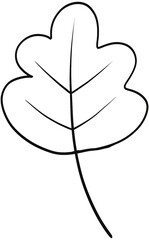 leaf hand drawn