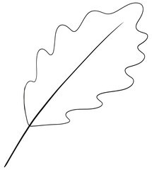 leaf hand drawn