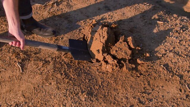 A man digs a hole in the ground with a shovel in a desert, in Spain