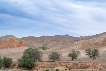 Fototapeta premium red stone gobi in Xinjiang China