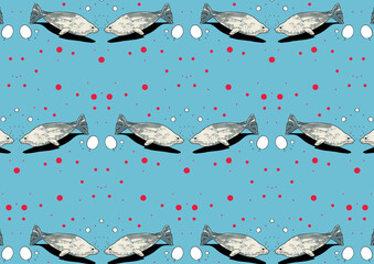 アザラシ © Shuu