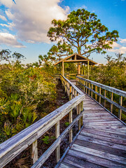 BRIGGS NATURE CENTER, NAPLES FLORIDA