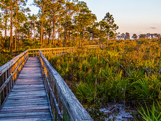 BRIGGS NATURE CENTER, NAPLES FLORIDA