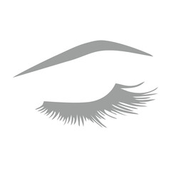 illustration of a feather