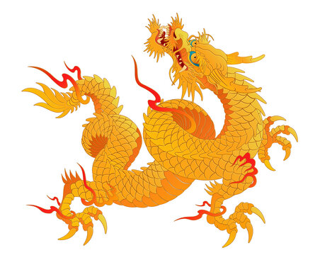 Oriental dragon color illustration Chinese Japanese Korean style transparent backgroundgolden yellow and dragon looking up