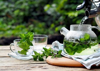 Medicinal herbal tea in a glass teapot with mint leaves on a natural background.