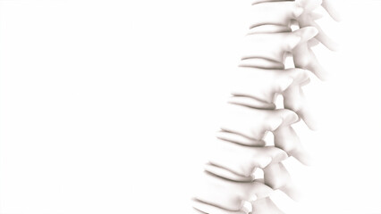Vertebral column medical background 3D illustration
