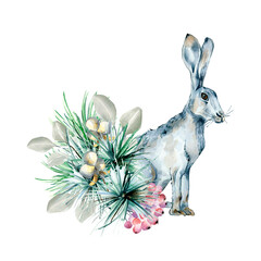 Christmas composition of coniferous and hare watercolor illustration isolated on white