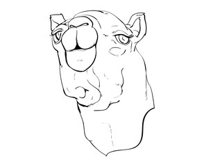 camel potrait lineart