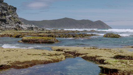 Fototapeta na wymiar tide pools at south cape bay in sw tasmania