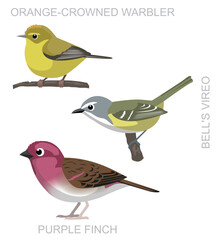 Cute Bird Orange-Crowned Warbler Bell's Vireo Purple Finch Set Cartoon Vector
