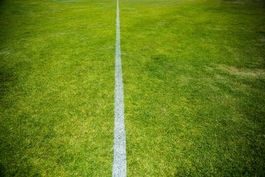 High angle view of yard line