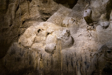 Obraz premium A cave with stalagmites and stalactites in which a caveman lived in a national reserve - Nahal Mearot Nature Preserve, near Haifa, in northern Israel