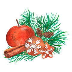 watercolor illustration of gingerbread, tangerines, cinnamon sticks with green spruce branch. isolated on white background