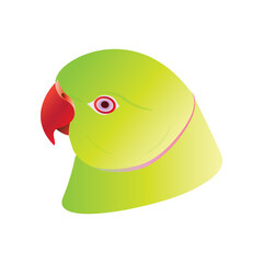 Parrot head vector isolated on white. Green parakeet.