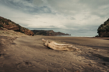 Bethells Beach - West Auckland, New Zealand