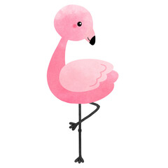 flamingo