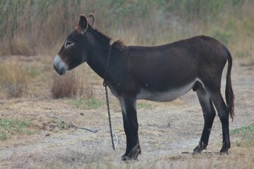 National Nature Park 