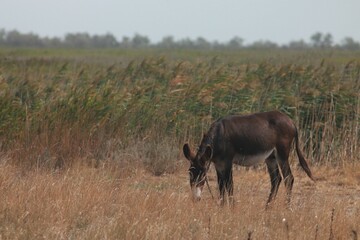 Fototapeta premium National Nature Park 