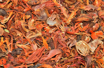 Mace spices, nutmeg flowers. Mace spice background, many flower of javitri, top view. indian spices...