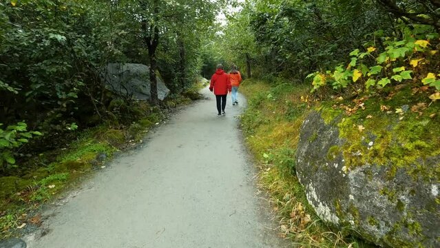 POV-Walking following two women in brightly colored rain coats along a foot path through Alaska rain forest on a drizzly rainy day