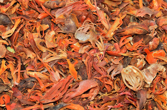 Mace spices, nutmeg flowers. Mace spice background, many flower of javitri, top view. indian spices in market