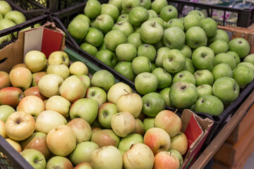 Apples of different varieties in boxes in the store. Vitamins and healthy food. New harvest.