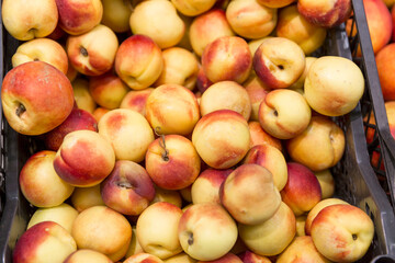Juicy ripe nectarines in a box in a store. Fruit and vegetable department in the supermarket. Vitamins and healthy food. Close-up.