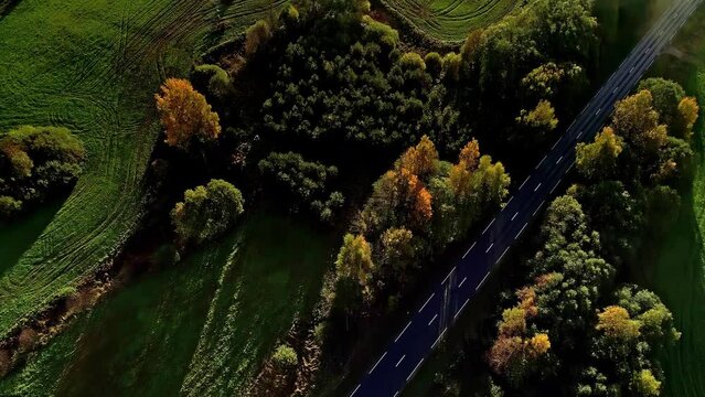 Top down drone view of country road, agricultural fields and trees in autumn. 