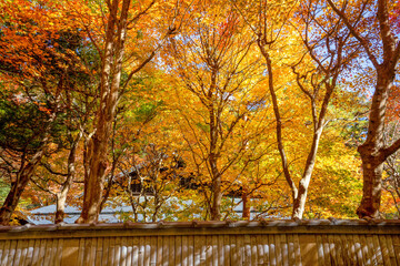 那須塩原の紅葉