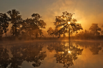 Obraz na płótnie Canvas Beautiful autumn scenery in the fog, flying birds