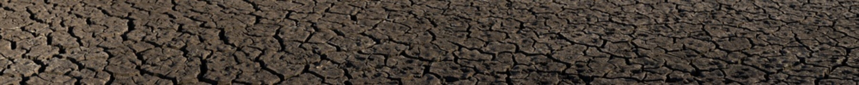 Earth cracked because of drought. The global shortage of water on the planet. Global warming concept. Dry cracks in the land.