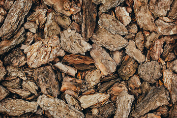 Texture from pieces of tree bark. Background, template for design.