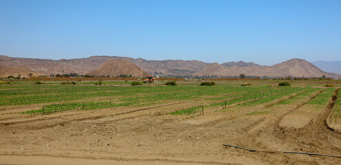 View of a cultivated field on the countryside.