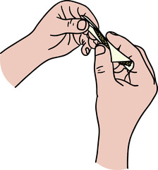 Illustration of hands rolling a joint. Rolling marijuana joint with two hands and paper.