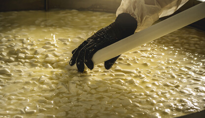 Process of producing different varieties of cheese in industry. Natural milk cheese making as a...