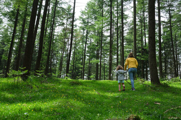 Obraz premium Happy mother and daughter exploring/ walking in the forest, family vacation , family adventure