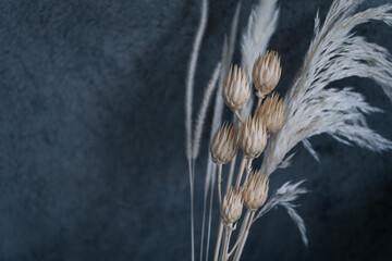 チュリペスのドライフラワー