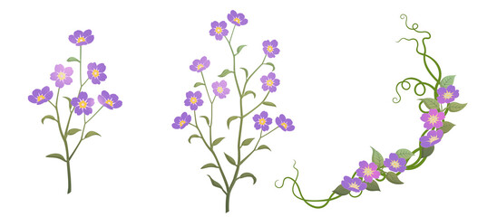 Set of various flower illustrations Forget-me-not and vines on a transparent background