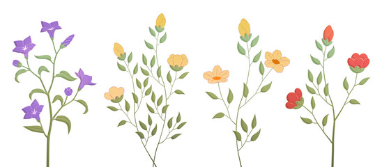 Various flower illustration set Transparent background Small leaves Flowers