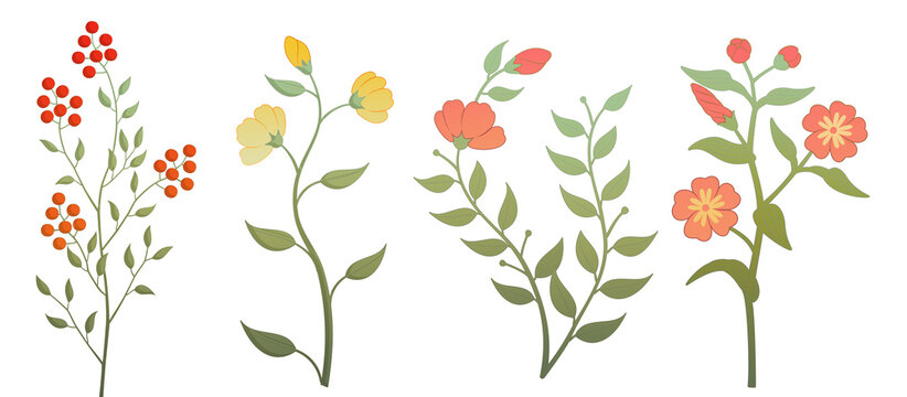 Set of various flower illustrations Small flowers of unknown names on a transparent background