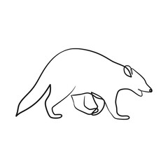 Raccoon continuous line art drawing