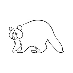 Raccoon continuous line art drawing