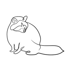 Raccoon continuous line art drawing