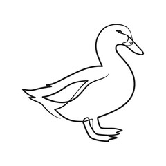 Duck continuous line art drawing